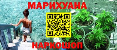 прущие крисы Шахты
