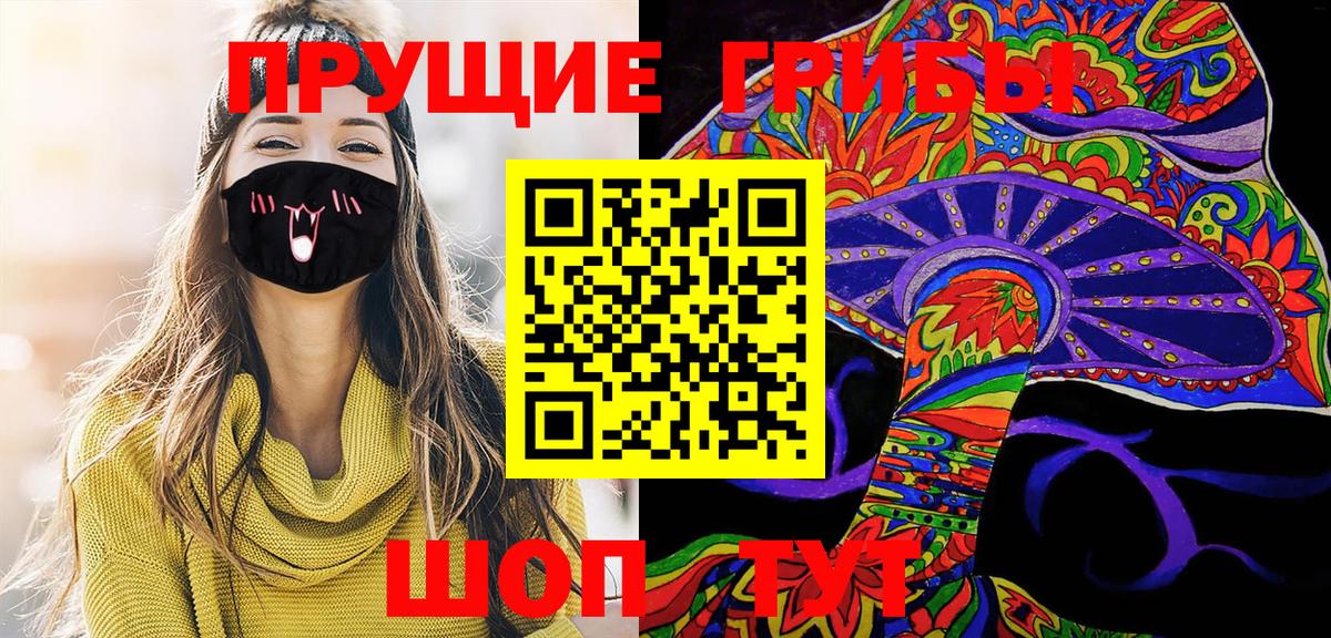 Галлюциногенные грибы Psilocybine cubensis Курчатов